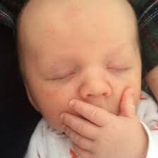 Hana King (hana4489)