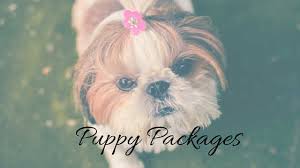 Just as there are core vaccines and booster shots for children, there are core vaccines and boosters available for our dogs too. Puppy Shots Packages In Dallas Fort Worth Tx Low Cost Pet Vax