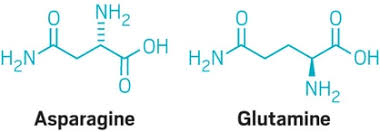 Image result for Exenatide