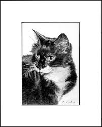 Black And White Cat Pictures To Print Tuxedo Cat Art Print Black And White Cat Portrait Drawing Print Cat Art Black And White Cat Drawing By P Tarlow Cat Art Print Cat Art Cat Drawing