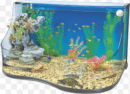 Aquascape addiction we're those people that obsess about trimming the carpet on a routine. Aquarium Filters Nano Aquarium Reef Aquarium Aquascaping Multi Level Pet Aquarium Png Pngegg