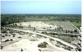 Image result for Nile Green 1964 GM