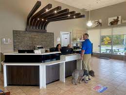 The local pet hospital tampa, fl 33601. Dartmouth Nova Scotia Vaterinarian Metro Animal Emergency Clinic