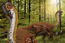 Check spelling or type a new query. Birds Can Thank Attractive Dinosaurs For Their Flight Feathers New Scientist