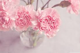 Find & download free graphic resources for cute wallpaper. 71 Cute Hd Wallpapers For Desktop