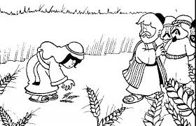 The story of ruth & naomi is located in the book of ruth. Kids Craft Bible Lesson And Crafts For Kids On Ruth And Naomi