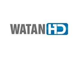 It offers voice and data communications services to following markets: Pin On Sports