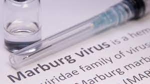 Die inkubationszeit beträgt nur vier bis sieben tage. Kzpbarvds8u1am