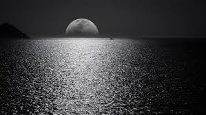 Black And White Nature Wallpaper 4k Black White Ocean Moon Wallpaper Wall Mural In 2020 Hd Wallpapers For Laptop Laptop Wallpaper Nature Wallpaper