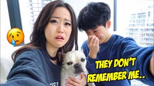 More images for stephanie soo fiance » Reunited With My Dogs After 5 Months Youtube