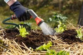 Check spelling or type a new query. How Often Should I Water My Garden Best Garden Tips