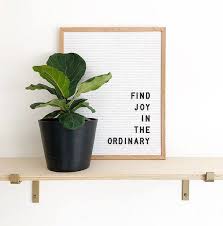Weight capacity of brackets can be up to 25kg when fitted correctly with appropriate fixings, into solid brick type walls, or into the studs in hollow cavity walls. Brass Shelf Brackets For Wall Shelves Etsy