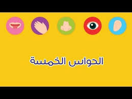 قناة اناشيد الروضة قناة متخصصة بالطفل المسلم تعليم الاطفال الالوان الحروف الارقام الحيوانات الاشكال الفواكه والمزيد جميع اعمالنا بدون موسيق Youtube