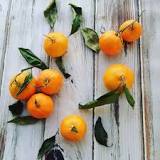 Image result