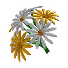 It is a standard rule for most plants, watering your garden when you have larger plants, it is a good idea to water them once per week but come back by later in the week and stick your finger in the soil next. Daisy Bouquet Welcome To Bloxburg Wiki Fandom