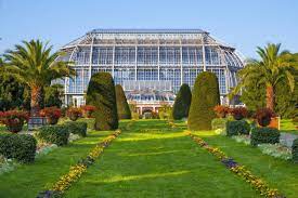 Wer lust hat seine kenntnisse rund ums gärtnern ein wenig zu vertiefen, dem sei die veranstaltungsreihe der klimawerkstatt spandau. Der Botanische Garten Berlin Tropisches Klima Und Artenvielfalt
