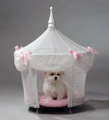Outdoor dog beds even the dog should have it comfortable and comfortable in the home of his master or fox. His Amazon Com Pet Tent Small Dog Bed Sugarplum Princess Pet Supplies Princess Dog Bed Dog Tent Bed Designer Dog Beds