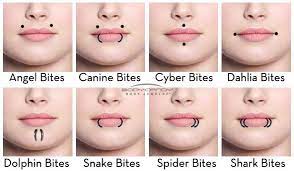 grafika odkryte przez notoriousvee odkrywaj i zapisuj swoje wlasne obrazy i filmy z we heart it in 2021 facial piercings lip piercing lip piercing names