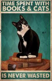 Pin By Janet Lee On Cats Cats Cat Posters Crazy Cats