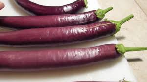 Like tomatoes, they're technically a fruit (we can dive into that debate, if you want). How To Tell When Eggplants Are Ready For Picking Youtube