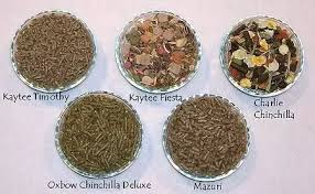 Tiny friends chinchilla tasty mix. Can I Give My Chinchillas Guinea Pig Food Instead Of Chinchilla Food Quora
