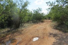 Most of this park is ok but we ran across some ugly areas. Best Fishing Pier In Park Kirby Lake Park Abilene Tx August 2020 Picture Of Lake Kirby Park Nature Play Area Abilene Tripadvisor
