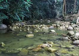 Dengan demikian tempat ini menjadi sangat nyaman untuk didatangi. Hutan Lipur Ulu Bendul Campsite Mcc Outdoor