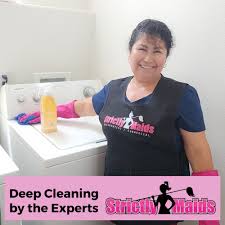 Top 10 Best House Cleaning Services near Otay, San Diego, CA - September  2023 - Yelp