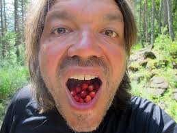 11. und letzte Etappe: Refugio de Pineta nach Bielsa und Reise nach Lleida 