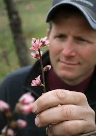 Growers' fingers are crossed