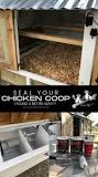 How to Seal Your Chicken Coop for Safety and Comfort