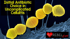What is the treatment for cellulitis? Initial Antibiotic Choice In Uncomplicated Cellulitis Rebel Em Emergency Medicine Blog