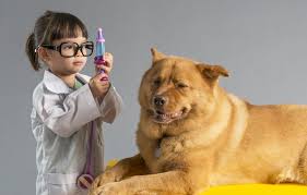 We're proud to care for your pets just like they're our own. Online Reviews For Veterinarians Revenuejump