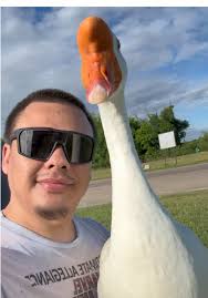Gary Goose Lore