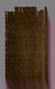 Dighton rock; a study of the written rocks of New England