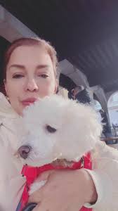 Cow Parade Switzerland 2024