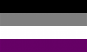 Black And White Flag Meaning Sexuality Pin On Fractures