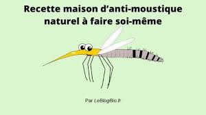 Recette Maison D Anti Moustique Naturel A Faire Soi Meme En 2020 Anti Moustique Faire Soi Meme Moustique