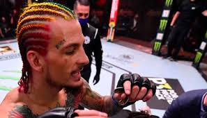 Ufc 252 august 15, 2020 sean o'malley vs. Sean O Malley Says Thomas Almeida Will Be Going To Bellator After Their Fight At Ufc 260 Bjpenn Com