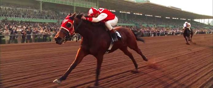 seabiscuit, story, legend, America, horse | The Odyssey Online