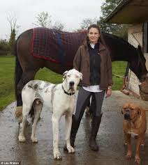 Call today to tour our facility to minimize any potential conflicts, we ask that only socialized and friendly pets visit tlc pet care services. Rspca Destroys Half Of The Animals That It Rescues Yet Thousands Are Completely Healthy Daily Mail Online