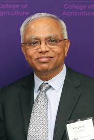 Plant Pathology and Crop Physiology News: January 2023 Issue