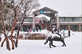 Who are the owners of mt buller resort? Mt Buller The Village