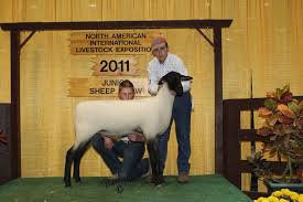 The Suffolk Newsletter