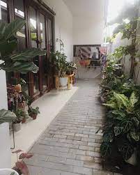 16 Dekorasi Desain Taman Belakang Taman Minimalis Belakang Rumah Type 36 Desain Taman Desain Taman