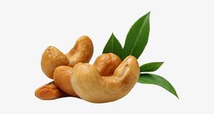 cashew nut png cashew nuts icon png 556x358 png download pngkit cashew nut png cashew nuts icon png