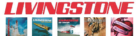 Guitar storage is actually one aspect that most novice guitarists tend to overlook especially if the instrument is in. Livingstone The 90 S Indie Band Livingstone About The Band Press Cuttings