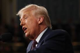 Voice Of America Director Speaks Out After Trump Starts Dismantling  U.S.-Funded Broadcast Entities