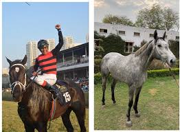 Indiarace Com On Twitter A Tale Of Two Champions Spotlight On Sir Cecil And War Hammer Kunigalstudfarm Dashmeshstud Https T Co Gjmjw1lvw1 Https T Co Lcecjldyvm Indiarace.com has unknown pageviews every day and it makes about. indiarace com on twitter a tale of