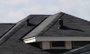 Roof Leaks Do I Need A Professional Plumber Plumbing Vent Roofing Bathroom Vent